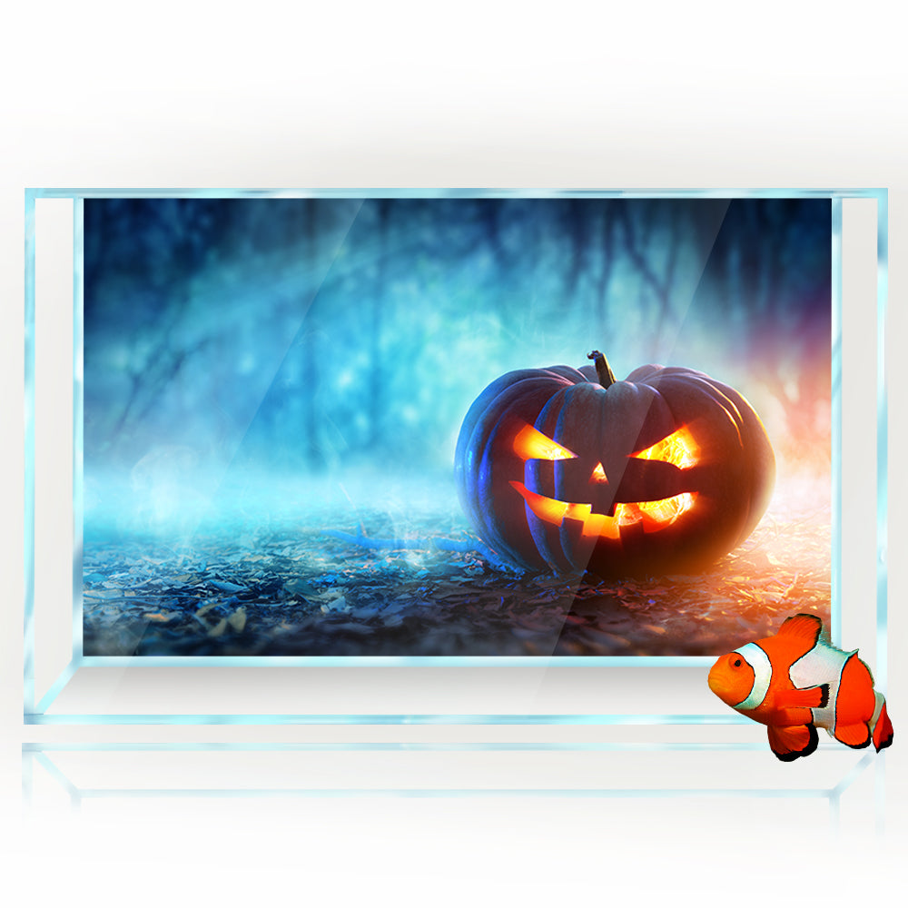 Aquarium Background Stickers - Halloween Pumpkins - Fish Tank Reptile Terrarium Decor Poster