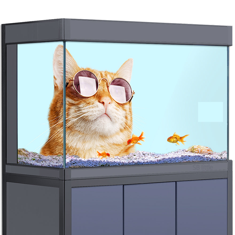 Aquarium Background Stickers - Cute Cat - Fish Tank Reptile Terrarium Decor Poster