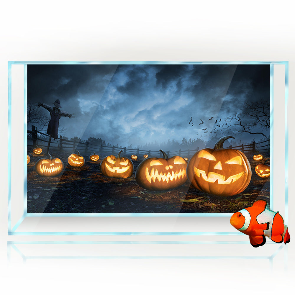 Aquarium Background Stickers - Halloween Pumpkins 2  - Fish Tank Reptile Terrarium Decor Poster